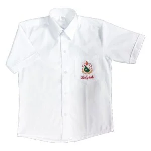 Camisa Diario Cuello corbata ISB